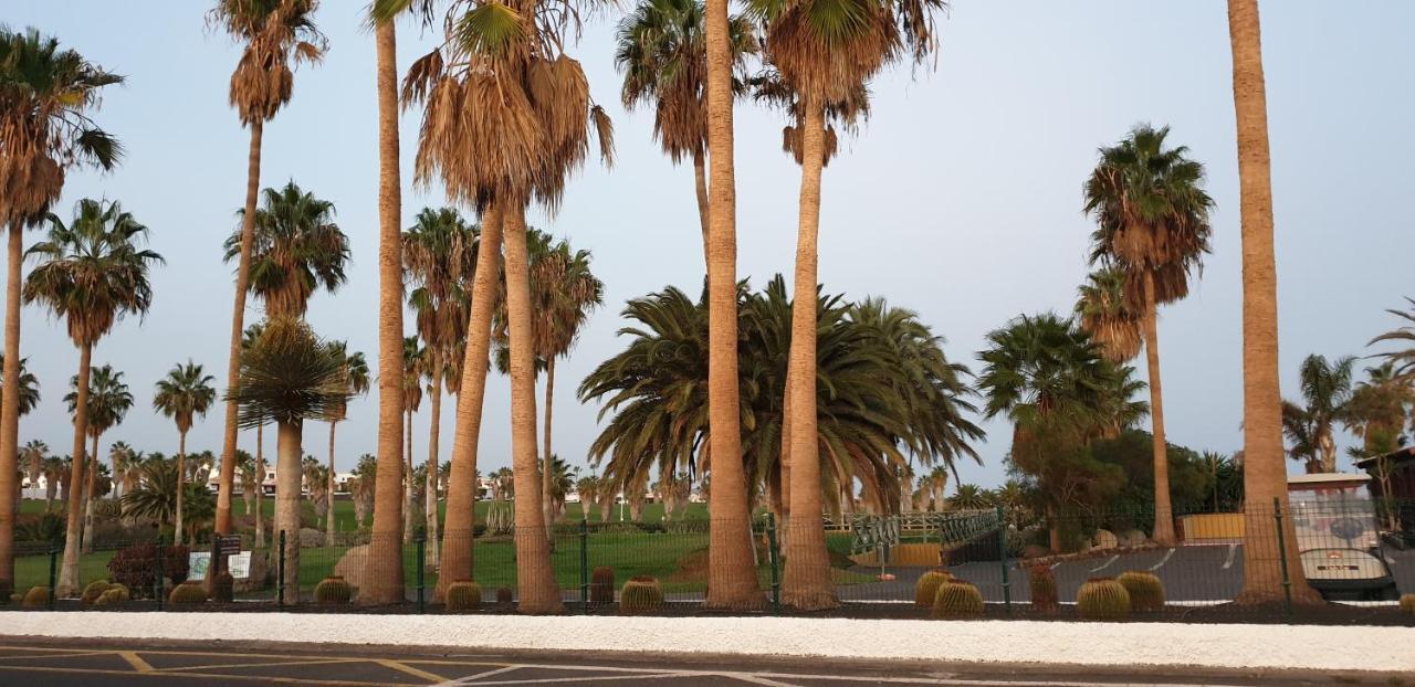 Apartmán El Medano, La Tejita Exteriér fotografie